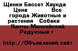 Щенки Бассет Хаунда  › Цена ­ 25 000 - Все города Животные и растения » Собаки   . Ханты-Мансийский,Радужный г.